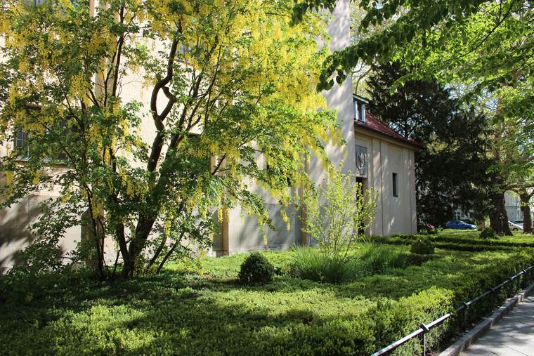 Sonniger Garten neben der Kirche mit frisch ausgetriebenen Bäumen und niedrigen Hecken